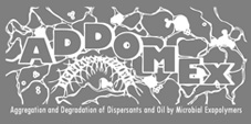 微生物外聚物对分散剂和油的聚集和降解 (ADDOMEx)